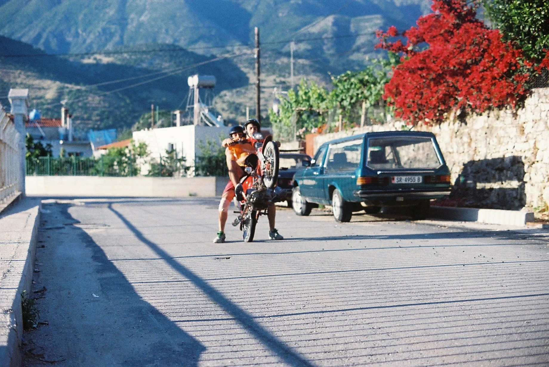 Two people with a bicycle on a sunlit road beneath mountains and red flowers